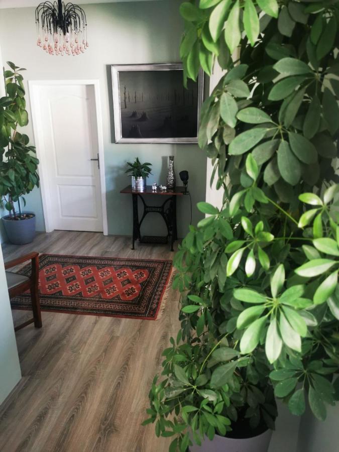 19 Apartment *